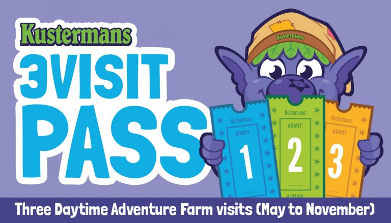 3 Visit pass