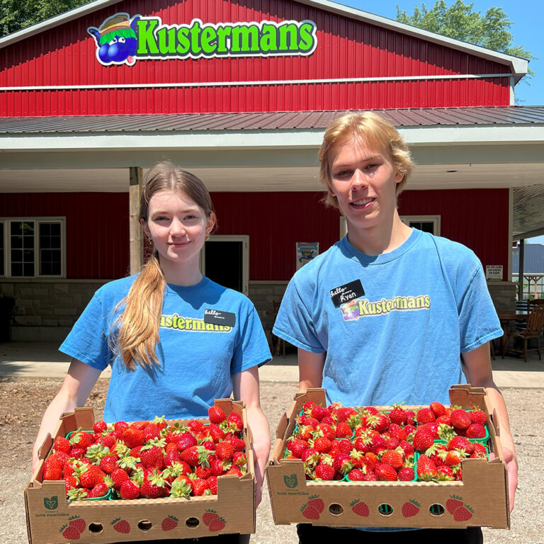 Berry Picking cashier